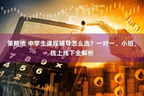 策略池 中学生课程辅导怎么选？一对一、小班、线上线下全解析