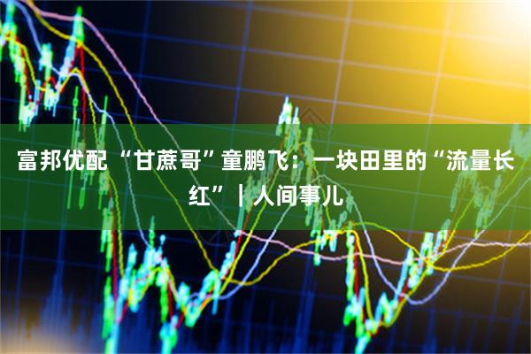 富邦优配 “甘蔗哥”童鹏飞：一块田里的“流量长红”｜人间事儿