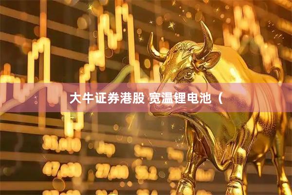 大牛证券港股 宽温锂电池（