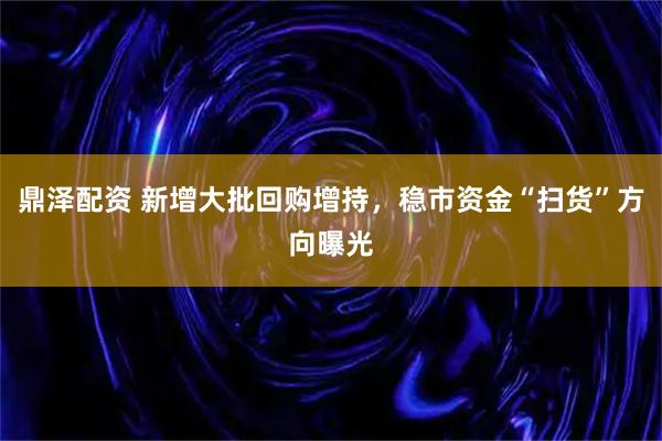 鼎泽配资 新增大批回购增持，稳市资金“扫货”方向曝光